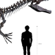 Image for article titled Scientists Cry Foul as Skeleton of Mystery Dino Is Auctioned Off for $2 Million